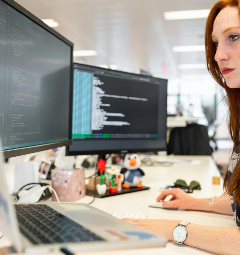 Software Development (3)